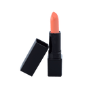 Lipstick Standard Packaging - Mooched (C)