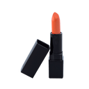 Lipstick Standard Packaging - Hint of Orange (S)