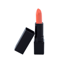 Lipstick Standard Packaging - SKiss (C)
