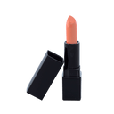 Lipstick Standard Packaging - Plush (C)