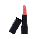 Lipstick Standard Packaging - Spring Rose (C)