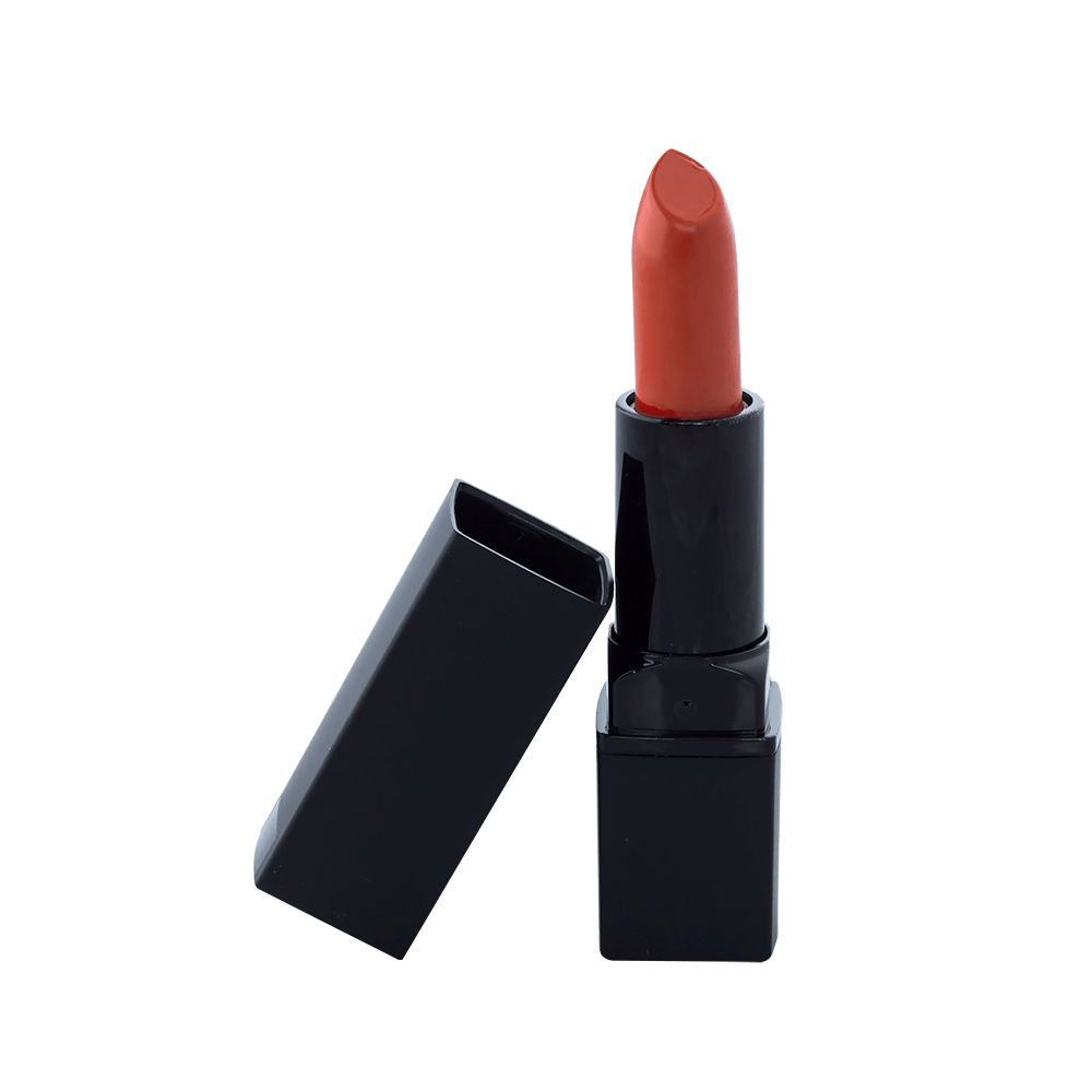 Lipstick Standard Packaging - Burnt Peach C