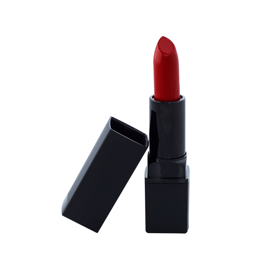 Lipstick Standard Packaging - Burnt Red (C)